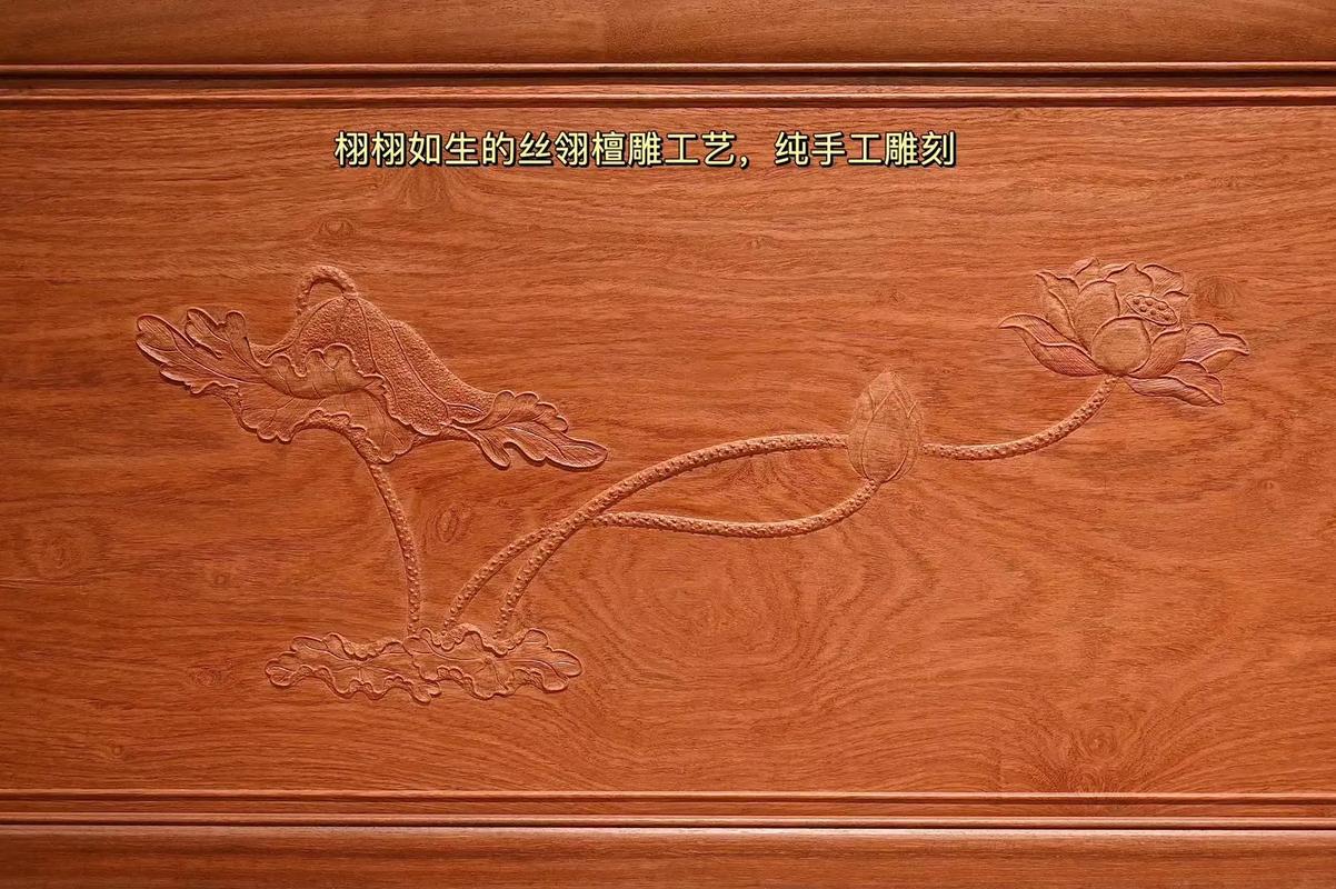 1775786641453056.jpg u=2796261470,647273778&fm=253&app=138&f=JPEG.jpg